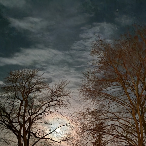 Meet your Posher, Nina - Picture 1 of 1